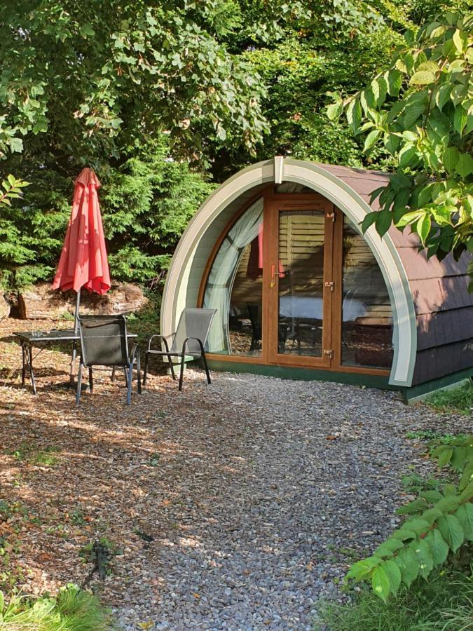 Priory Glamping Pods And Guest Accommodation キラーニー エクステリア 写真