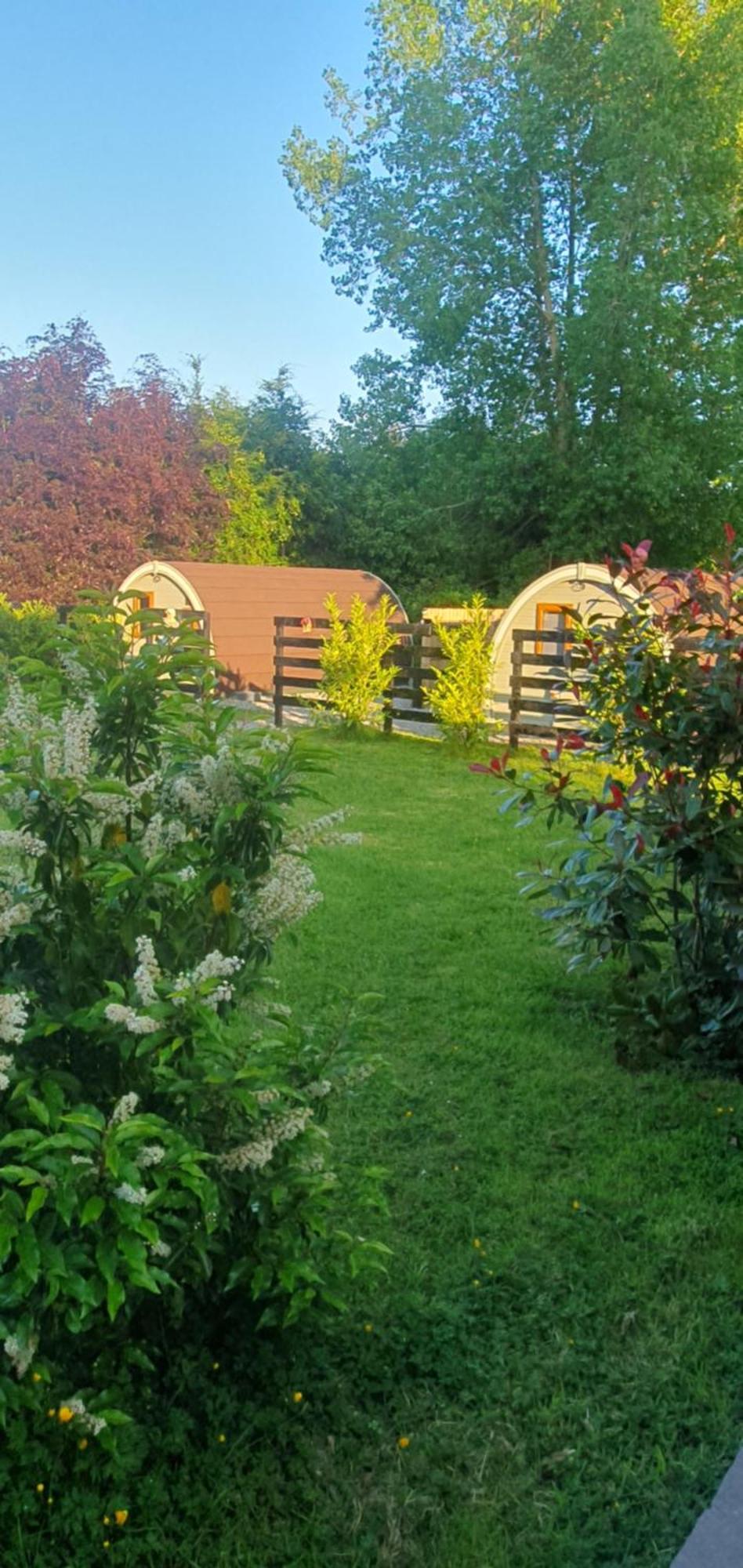 Priory Glamping Pods And Guest Accommodation キラーニー エクステリア 写真