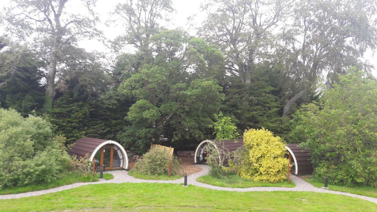 Priory Glamping Pods And Guest Accommodation キラーニー エクステリア 写真