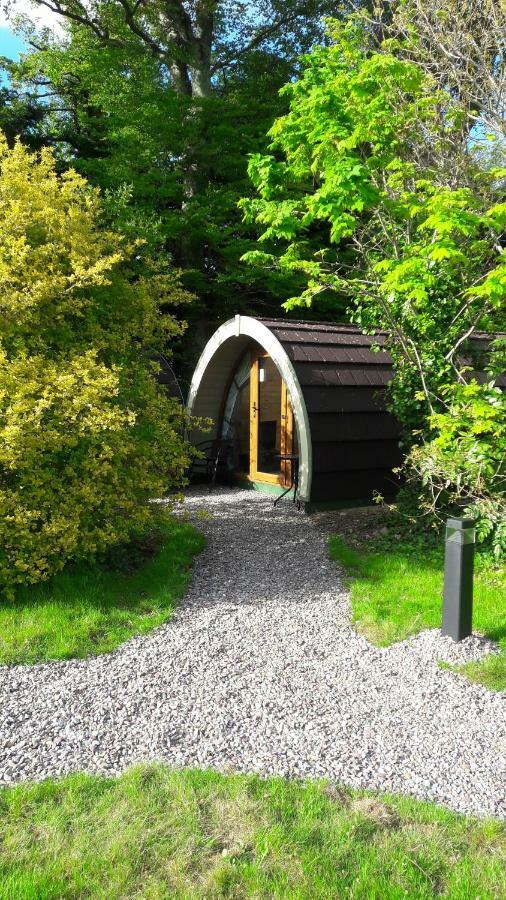 Priory Glamping Pods And Guest Accommodation キラーニー エクステリア 写真