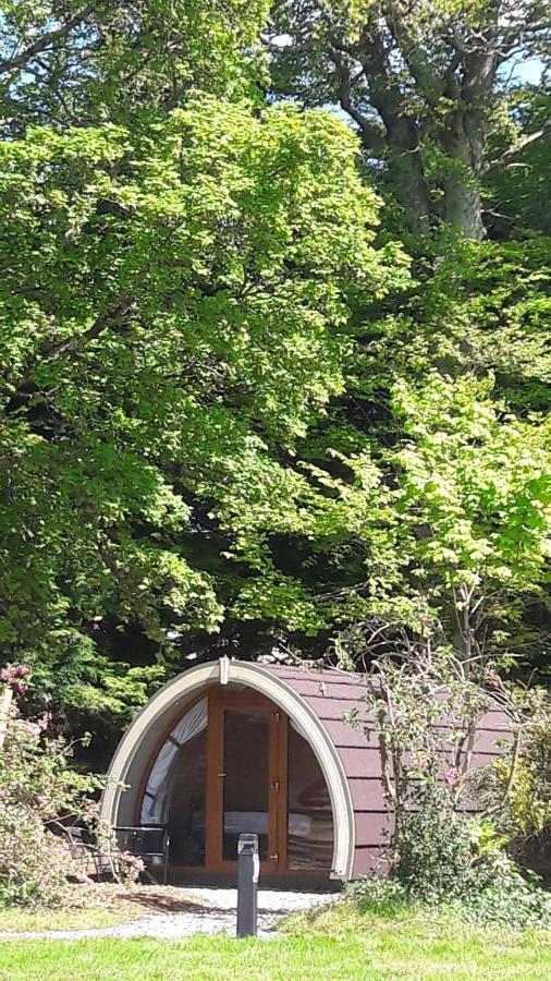 Priory Glamping Pods And Guest Accommodation キラーニー エクステリア 写真