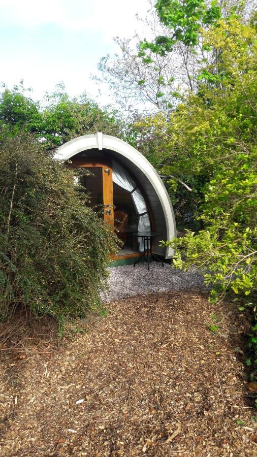 Priory Glamping Pods And Guest Accommodation キラーニー エクステリア 写真