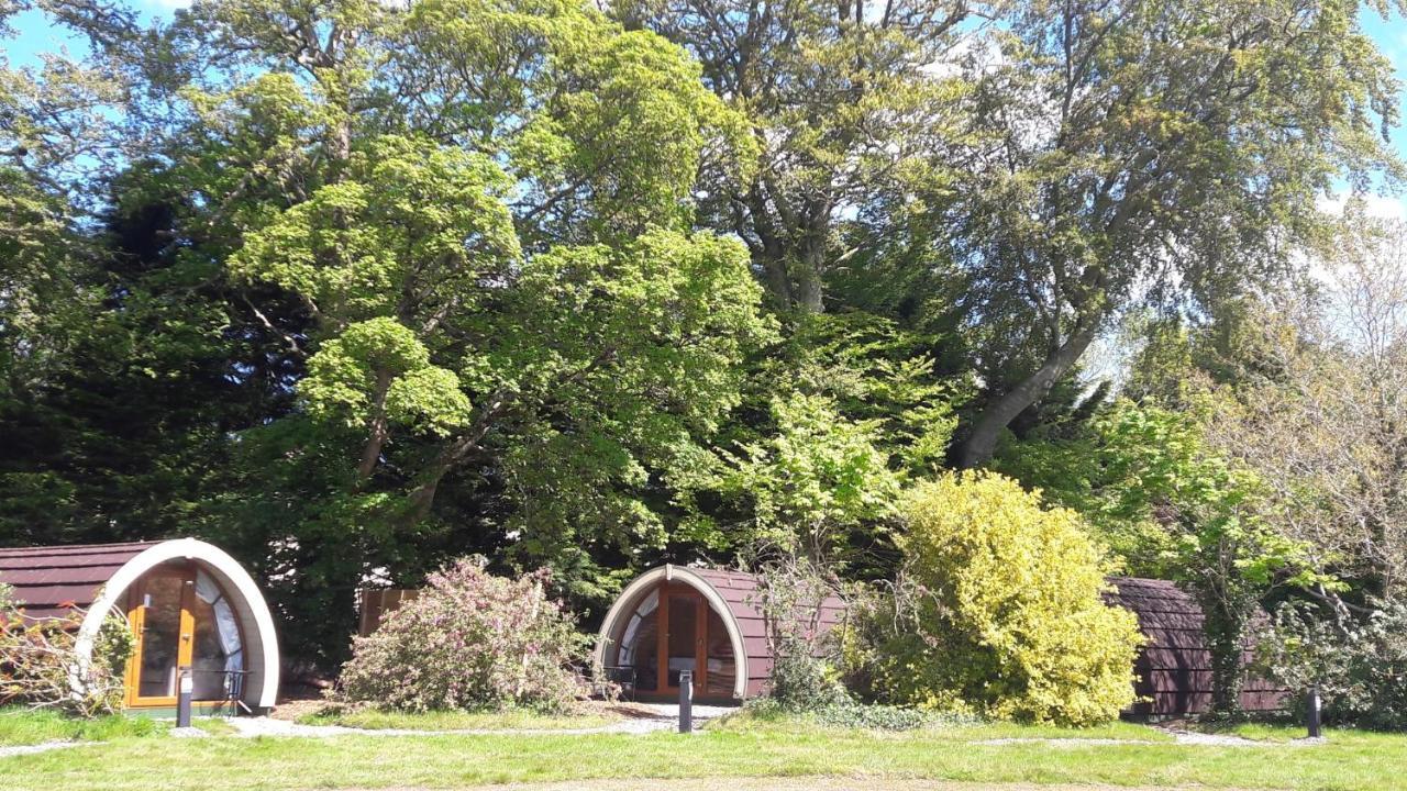 Priory Glamping Pods And Guest Accommodation キラーニー エクステリア 写真